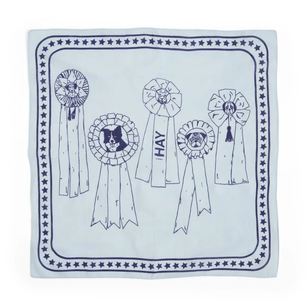 Chusta Dogs Scarf Light blue HAY