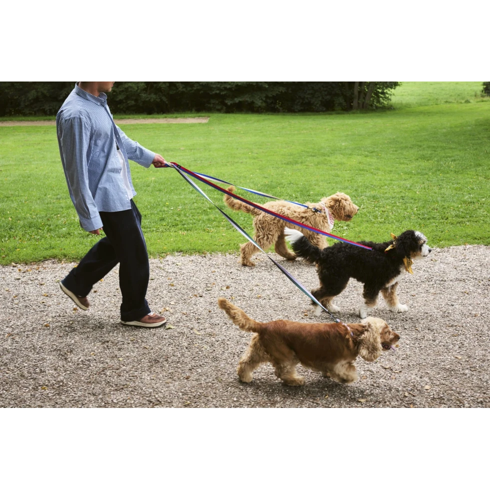 Smycz Dogs Leash Flat M/L Pink, black HAY
