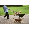 Smycz Dogs Leash Flat M/L Pink, black HAY
