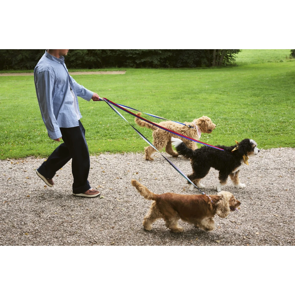 Smycz Dogs Leash Flat M/L Pink, black HAY