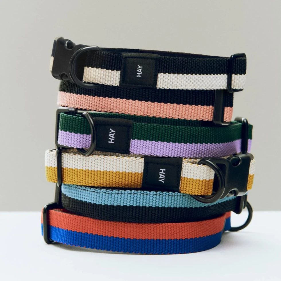 Obroża Dogs Collar Flat M/L Blue Black HAY