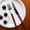 Zestaw 4 sztućców Bistrot Burgundy Sabre Paris