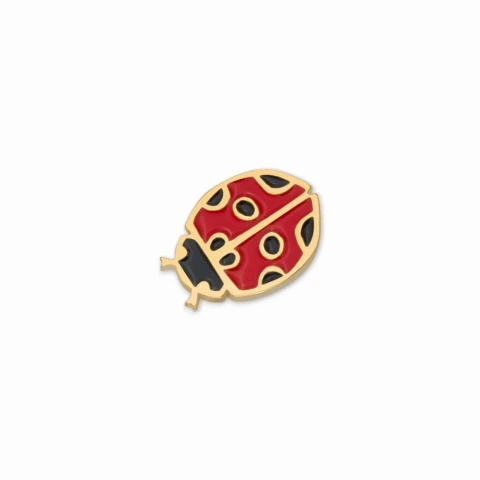 Pin biedronka Marcelina Jarnuszkiewicz