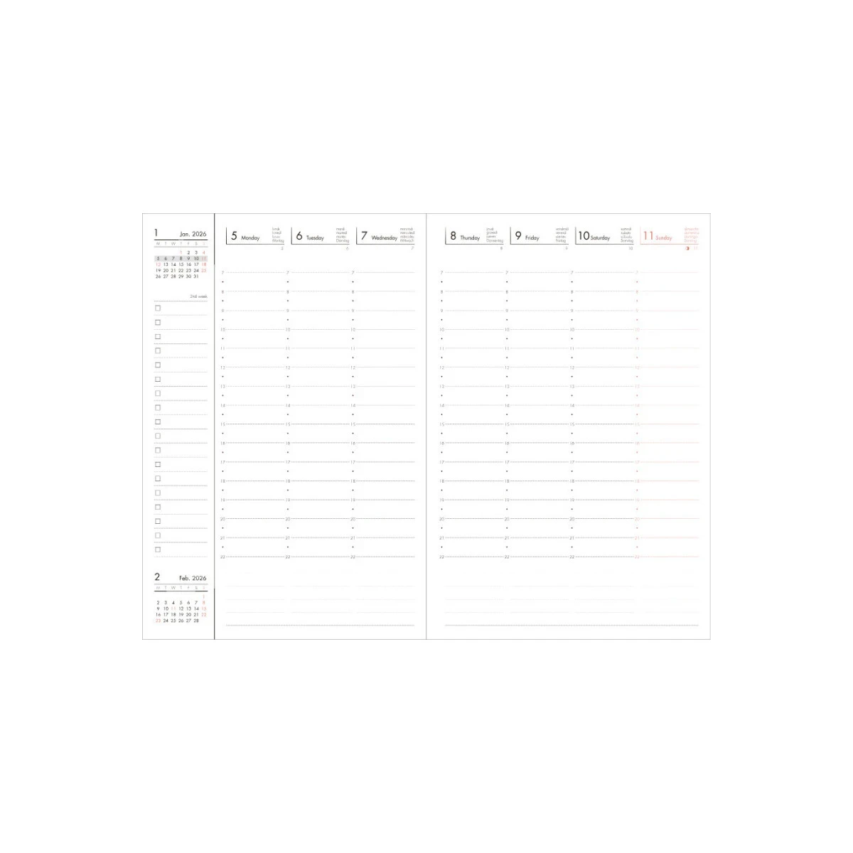 Planer 2026 B6 Cats / Gray Mark's Europe