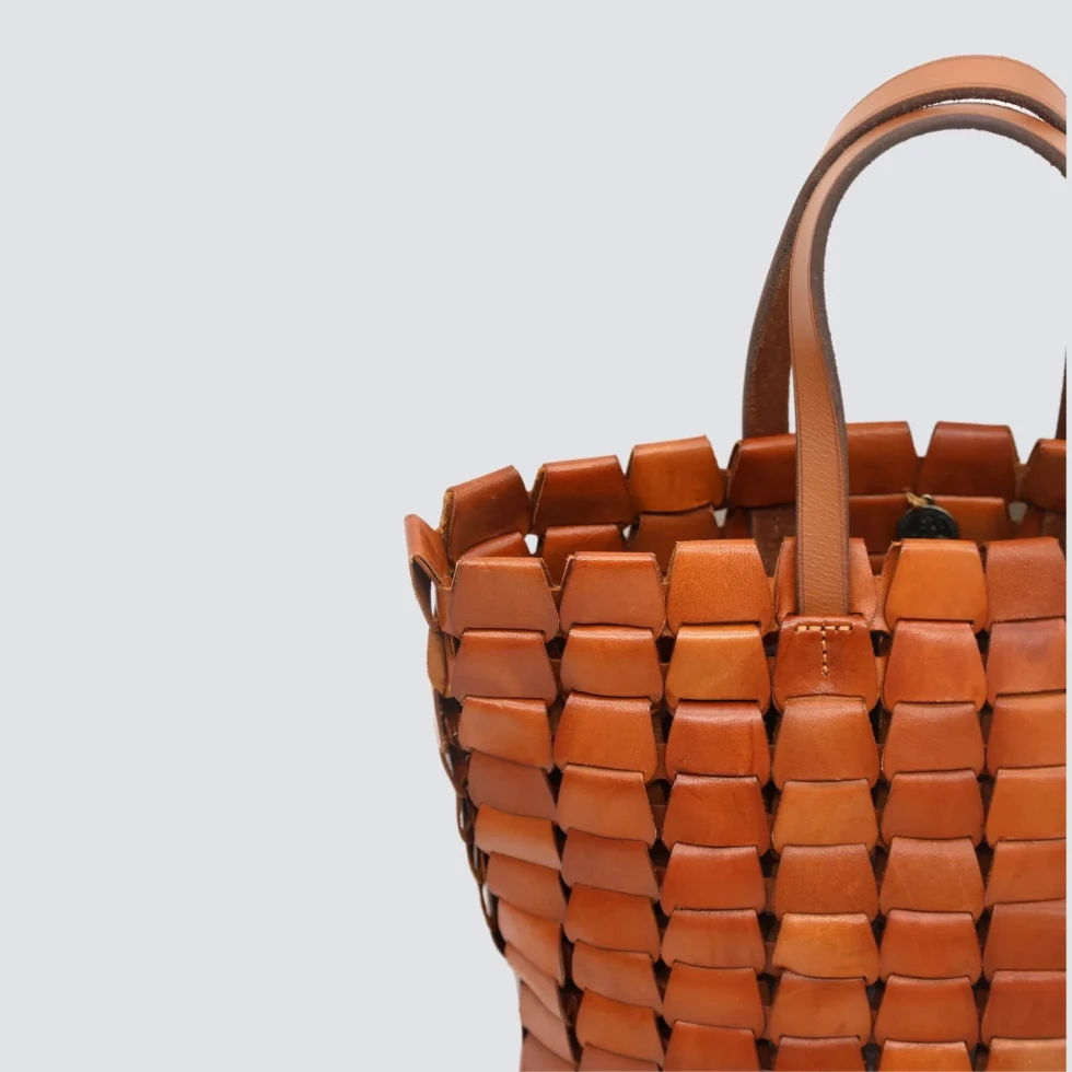 Torebka Link Tote Tan Dragon Diffusion