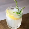 Szklanka Ouessant 240ml La Rochere