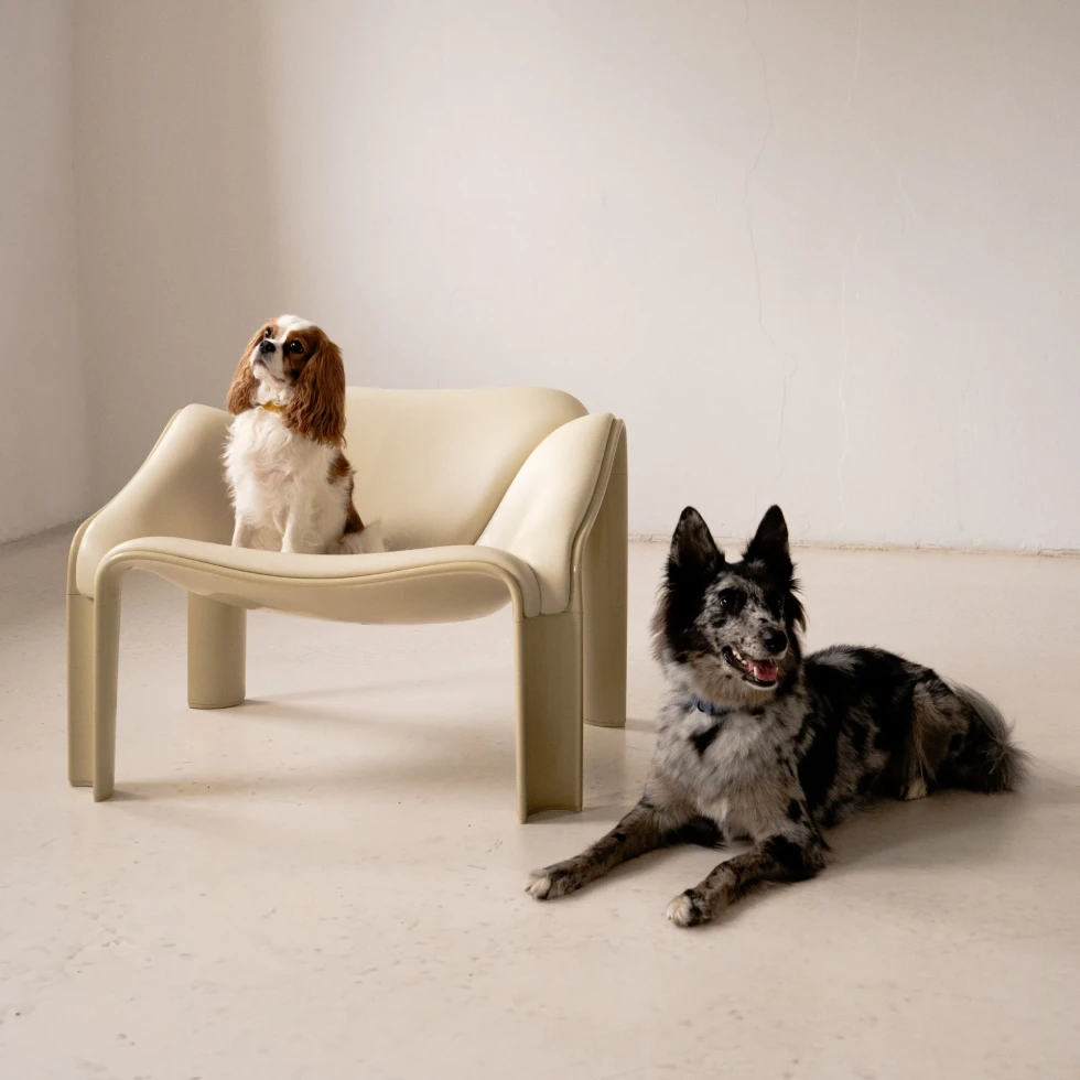 Obroża prosta jasnobrązowa NAP x LAZY STUDIO