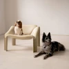 Obroża wąż jasnobrązowa NAP x LAZY STUDIO