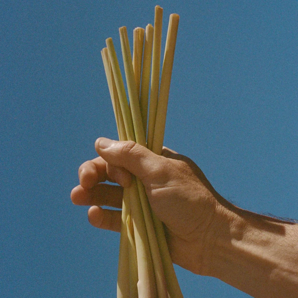 Peeling  z solą morską Nr 297 Lemongrass 420 g L:A BRUKET