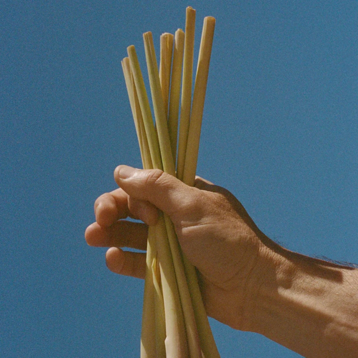 Peeling  z solą morską Nr 297 Lemongrass 420 g L:A BRUKET