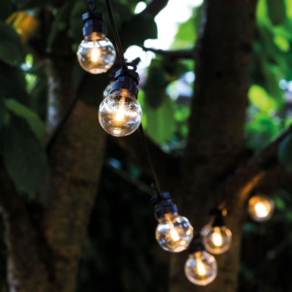 Lampki ozdobne Lukas Start Set Clear