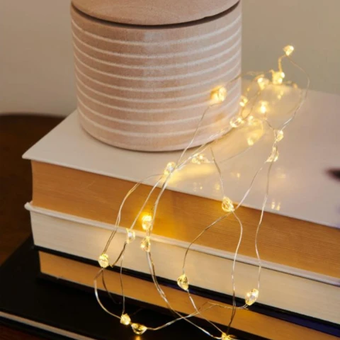 Lampki ozdobne Maggie 40L Clear/Silver