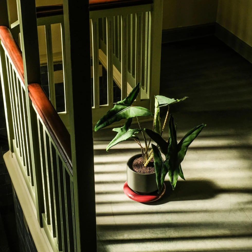 Doniczka Lily Glazed Sage Green