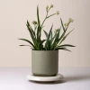 Doniczka Lily Glazed Sage Green