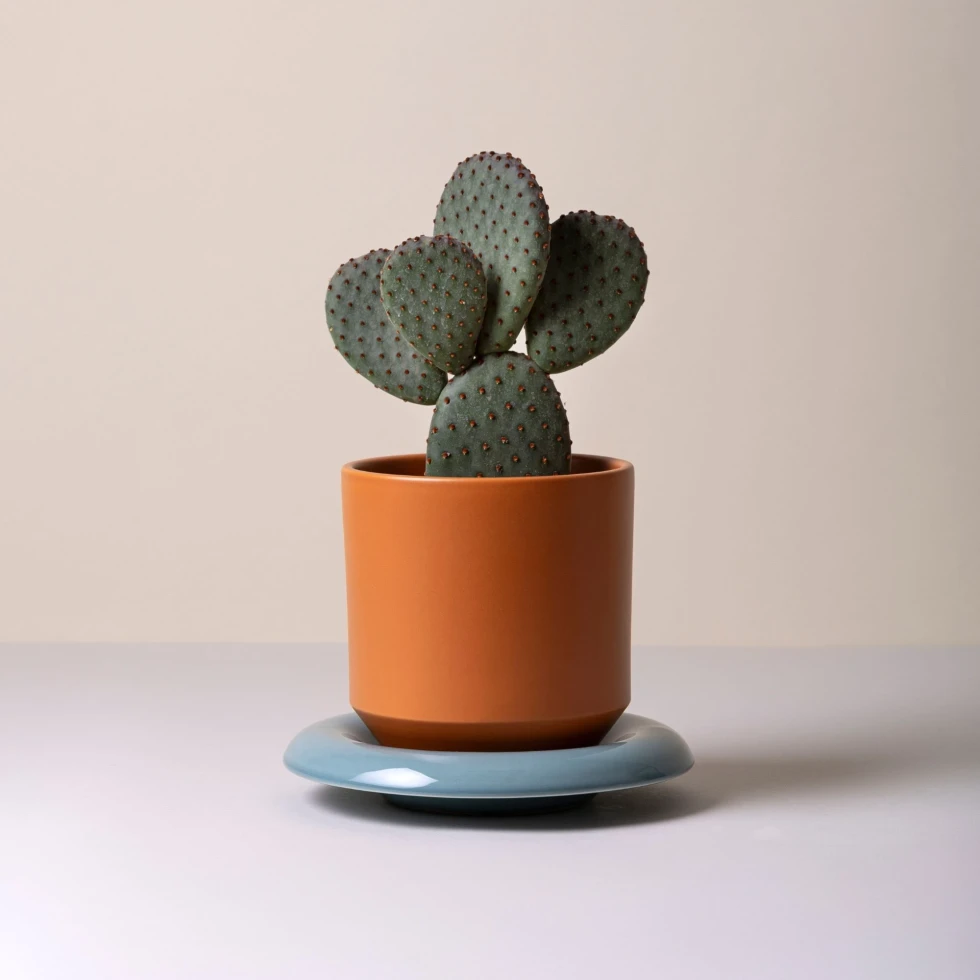 Doniczka Lily Glazed Tangerine Orange