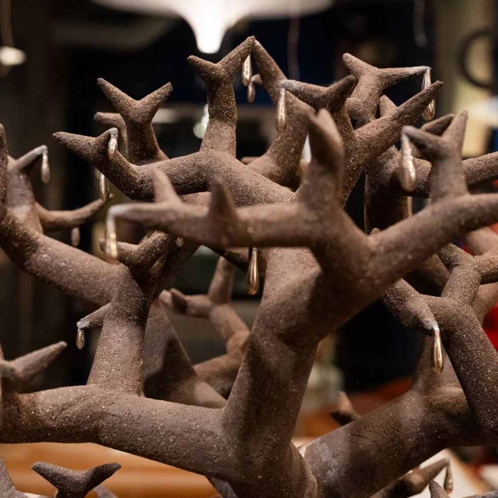 Kacper Pielaszek Wierzba Płacząca