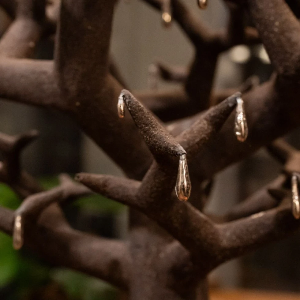 Kacper Pielaszek Wierzba Płacząca