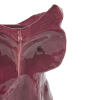Wazon Owl S Aubergine