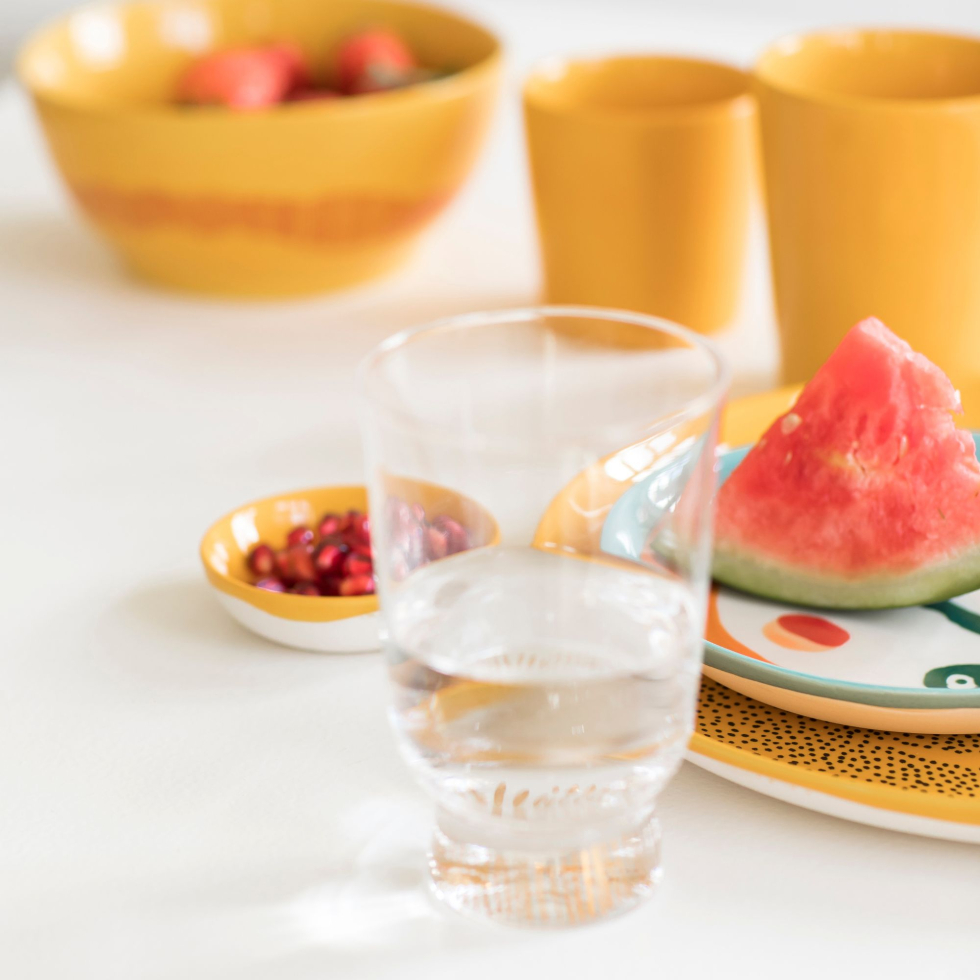 Miska S Feast Yellow Stripes Red