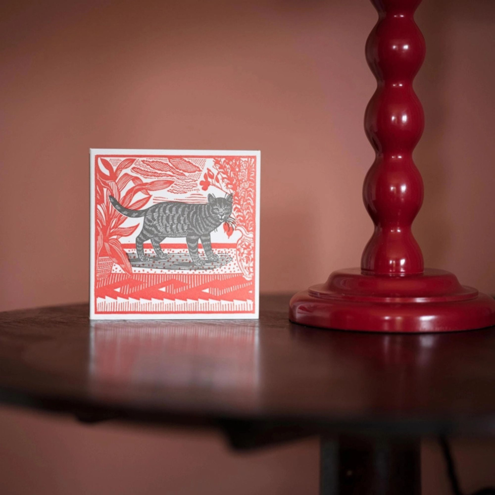 Zapałki Sasha The Cat