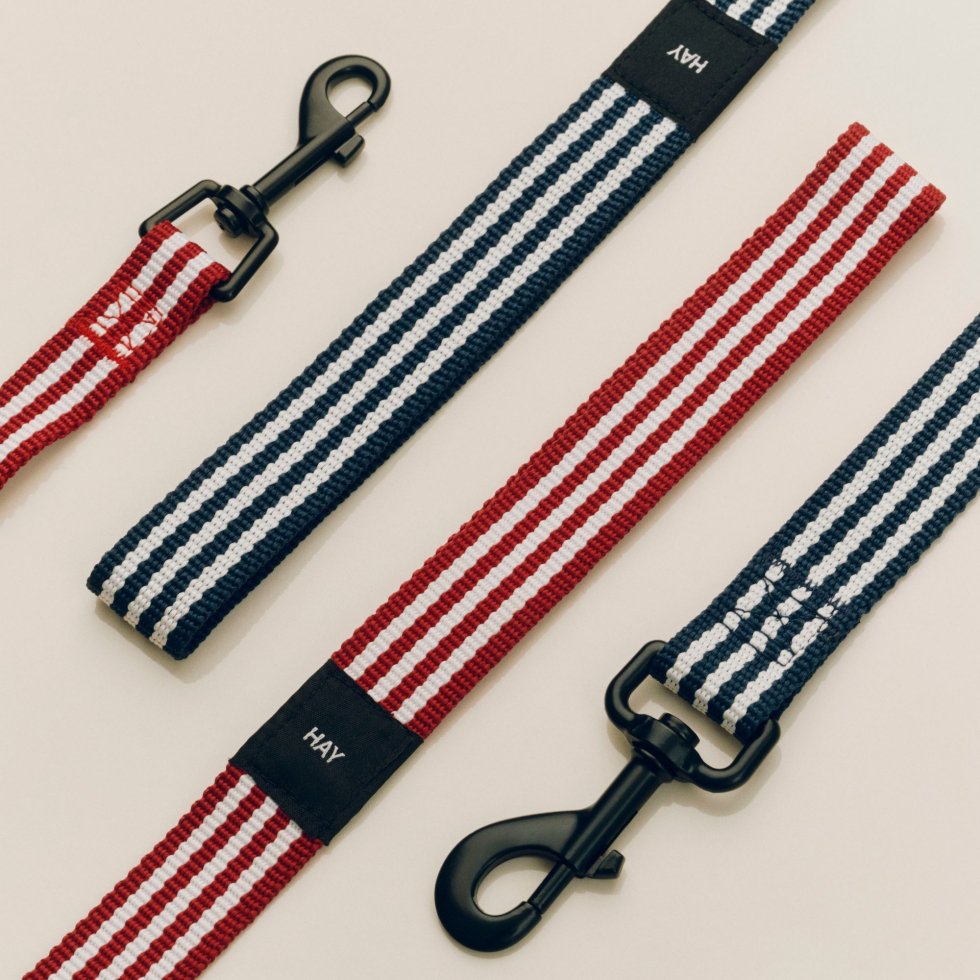 Smycz Dogs Leash Flat M/L Blue and white stripe