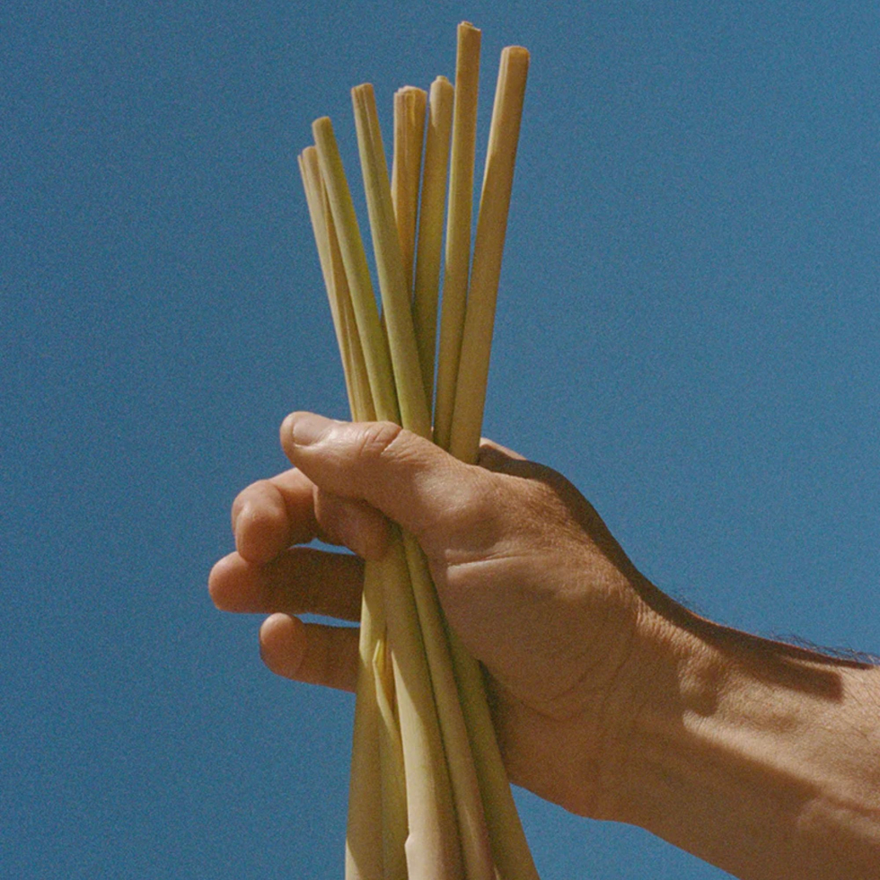 Odżywka do włosów Nr 114 Trawa cytrynowa 240ml