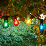Lampki ozdobne Tobias Start Set Multicolour