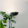 Lampa ścienna MSW 27