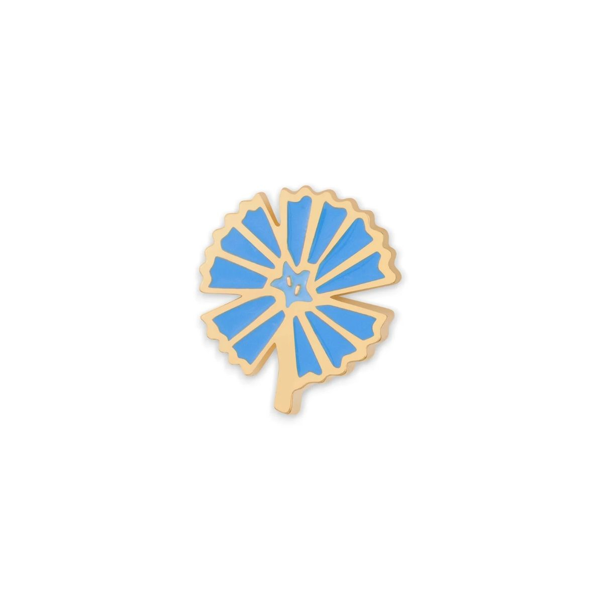 PIN cykoria niebieska