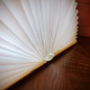 Lampa stołowa Walnut Smart Book Light Large Gingko